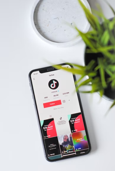 how-to-get-verified-on-tiktok-everything-you-need-to-know-nfi